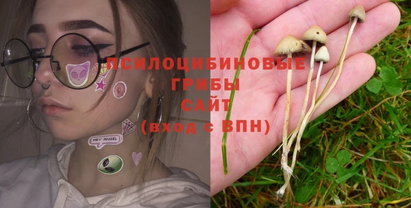 прущие грибы Алексин