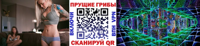 Псилоцибиновые грибы ЛСД  где найти наркотики  Гусь-Хрустальный 